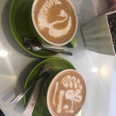 Buddy Coffee & Travel