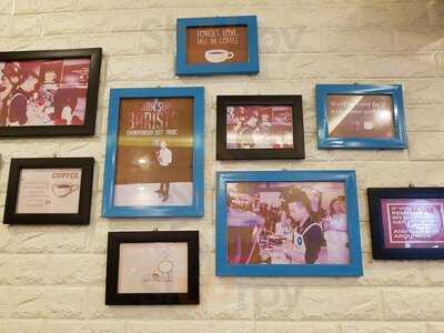 Buddy Coffee & Travel