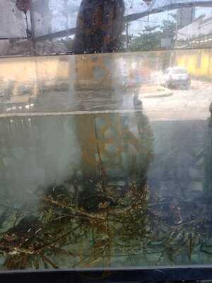 Hải Sản Thời Cổ