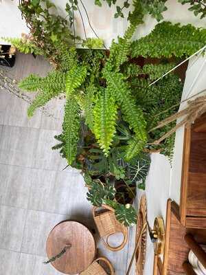 Dâu Ngọt Café 'n' Souvenir