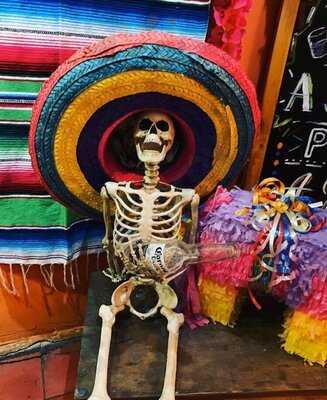 Gringo Tacos Y Cantina