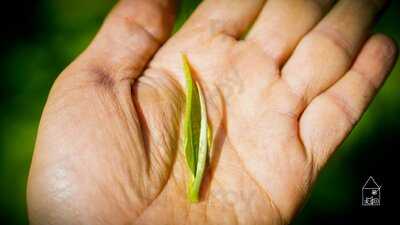 Trà Quán Góc Nhà Tụi Mình