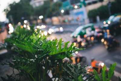 Quán Bụi Bistro & Lounge