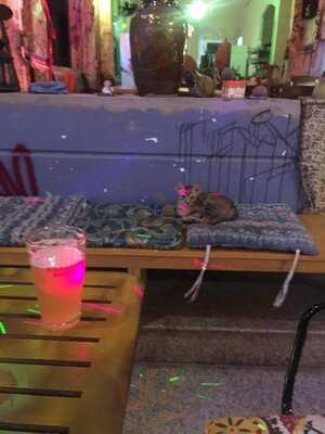 Quán Nông Trại Khoai