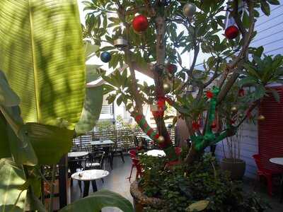 Nhà Hàng The View Garden