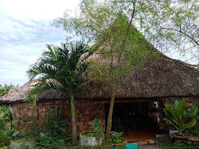 Làng Rau Sạch Củ Chi