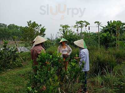 Làng Rau Sạch Củ Chi