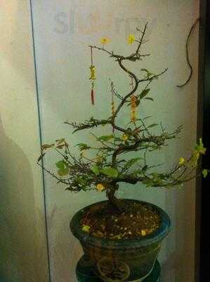 Nhà Hàng Chay Thiện Phát