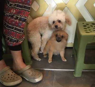 Eden Coffee Số 2 Nhà Thờ