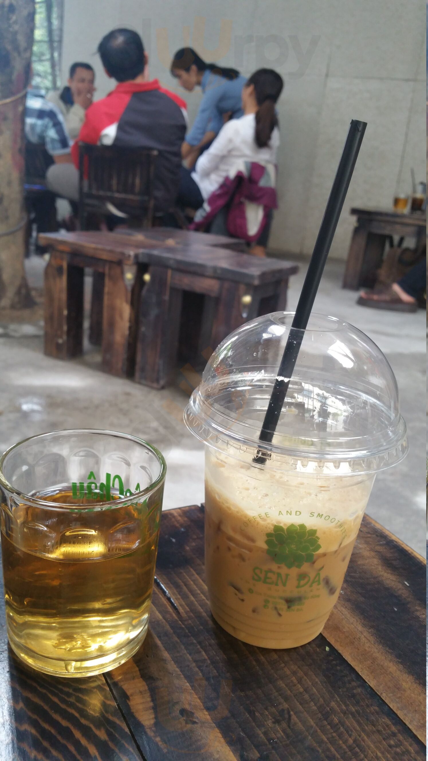 Quán Cà Phê Sen Đá - The Succulents Coffee Đà Nẵng