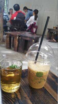 Quán Cà Phê Sen Đá - The Succulents Coffee Đà Nẵng