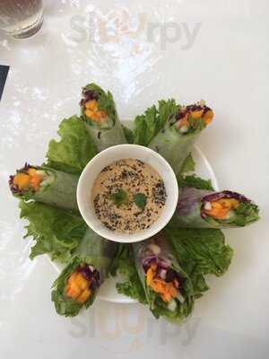 Jungle House Plant - Based Cafe