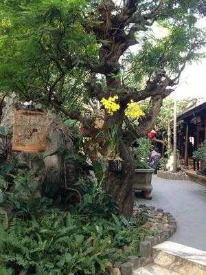 Ancient Place Restaurant