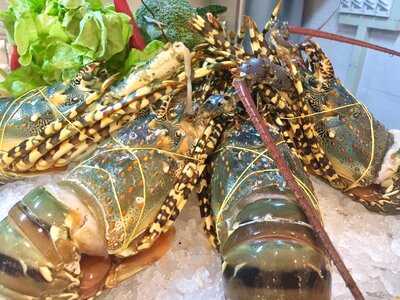 Silk Garden Restaurant