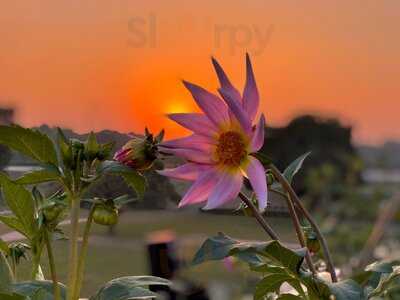 La Chapelle Ha Noi Restaurant