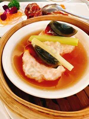 Dim Tu Tac Đông Du