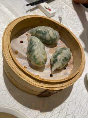 Dim Tu Tac Đông Du