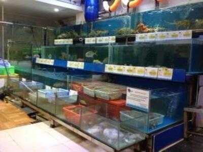 The Gioi Hai San 2 (seafood World 2)