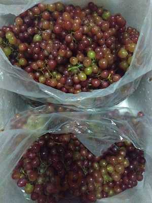 Cô Minh - Bánh Xèo