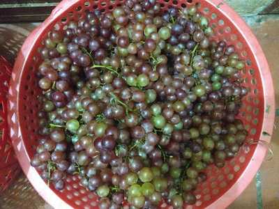 Cô Minh - Bánh Xèo