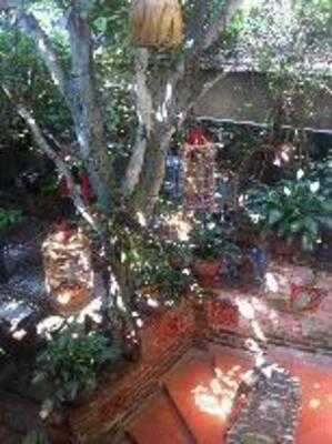 Vuon Am Thuc Ran Rao