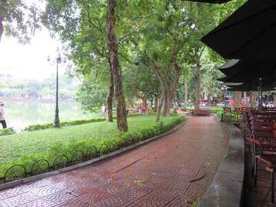 Conifer Bốn Mùa - Four Seasons