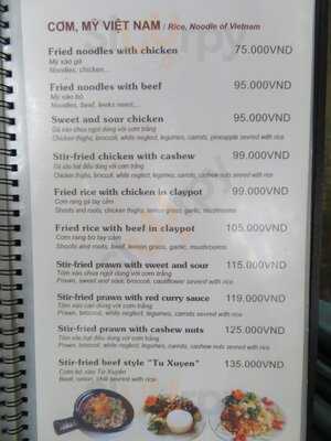 Conifer Bốn Mùa - Four Seasons