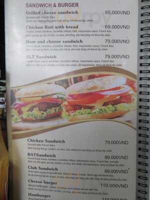 Conifer Bốn Mùa - Four Seasons