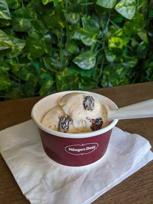 Haagen-dazs
