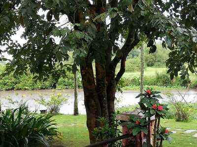 Nhà Hàng Bến Nảy