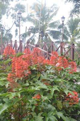 Nhà Hàng Bến Nảy