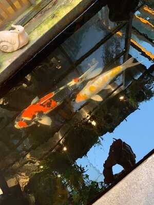 Oromia Coffee & Lounge