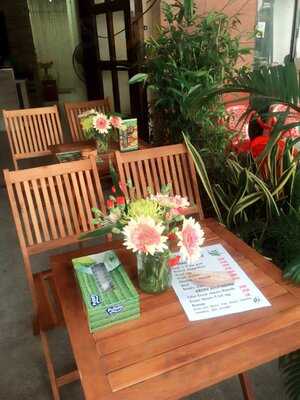 Organic Fresh Juices