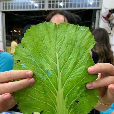 Quán Bánh Bèo Ngọc Sơn