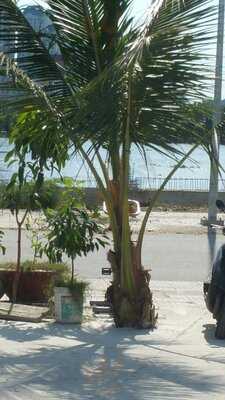 River View Restaurant And Coffee