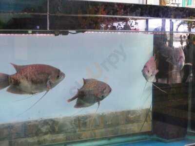 Nhà Hàng Hoàng Ty