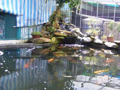 Nhà Hàng Hoàng Ty