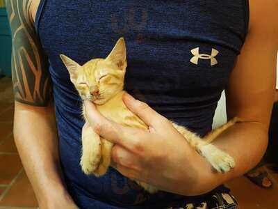 Annen Yoga & Vegetarian Danang