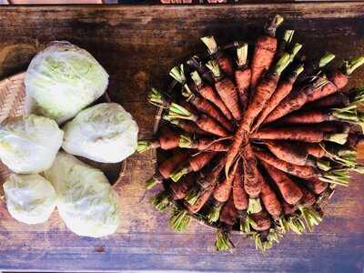 Thực Dưỡng Bảo An