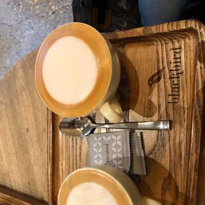 Blackbird Coffee Chan Cam