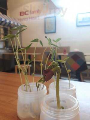 Cafe Bia Trứng Phố Cổ