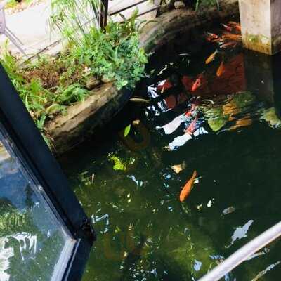 Joy Box Coffee & Bubble Tea