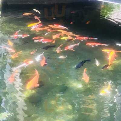 Joy Box Coffee & Bubble Tea