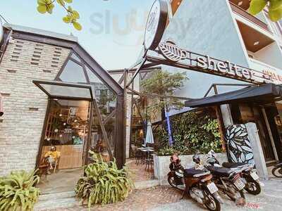 The Shelter Tea & Coffee