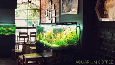 Aquarium Coffee