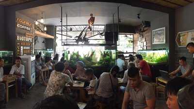 Aquarium Coffee