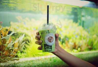 Aquarium Coffee