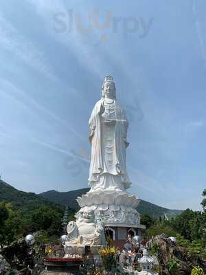 Trà Lên Men Lady Buddha Kombucha