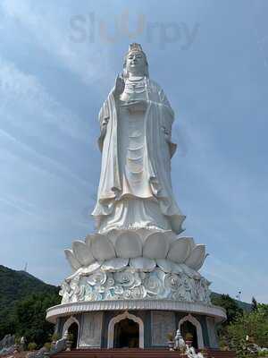 Trà Lên Men Lady Buddha Kombucha