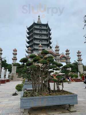 Trà Lên Men Lady Buddha Kombucha